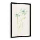 Estudio De Aciano Ii - June Erica Vess | Cuadro decorativo de Canvas Lab