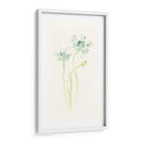 Estudio De Aciano Ii - June Erica Vess | Cuadro decorativo de Canvas Lab