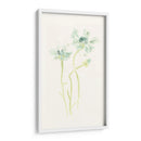 Estudio De Aciano Ii - June Erica Vess | Cuadro decorativo de Canvas Lab