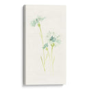 Estudio De Aciano Iii - June Erica Vess | Cuadro decorativo de Canvas Lab