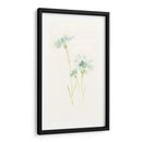 Estudio De Aciano Iii - June Erica Vess | Cuadro decorativo de Canvas Lab