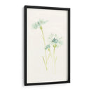 Estudio De Aciano Iii - June Erica Vess | Cuadro decorativo de Canvas Lab