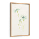 Estudio De Aciano Iii - June Erica Vess | Cuadro decorativo de Canvas Lab