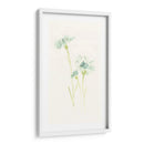 Estudio De Aciano Iii - June Erica Vess | Cuadro decorativo de Canvas Lab