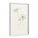 Estudio De Aciano Iii - June Erica Vess | Cuadro decorativo de Canvas Lab