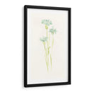 Estudio De Aciano Iv - June Erica Vess | Cuadro decorativo de Canvas Lab