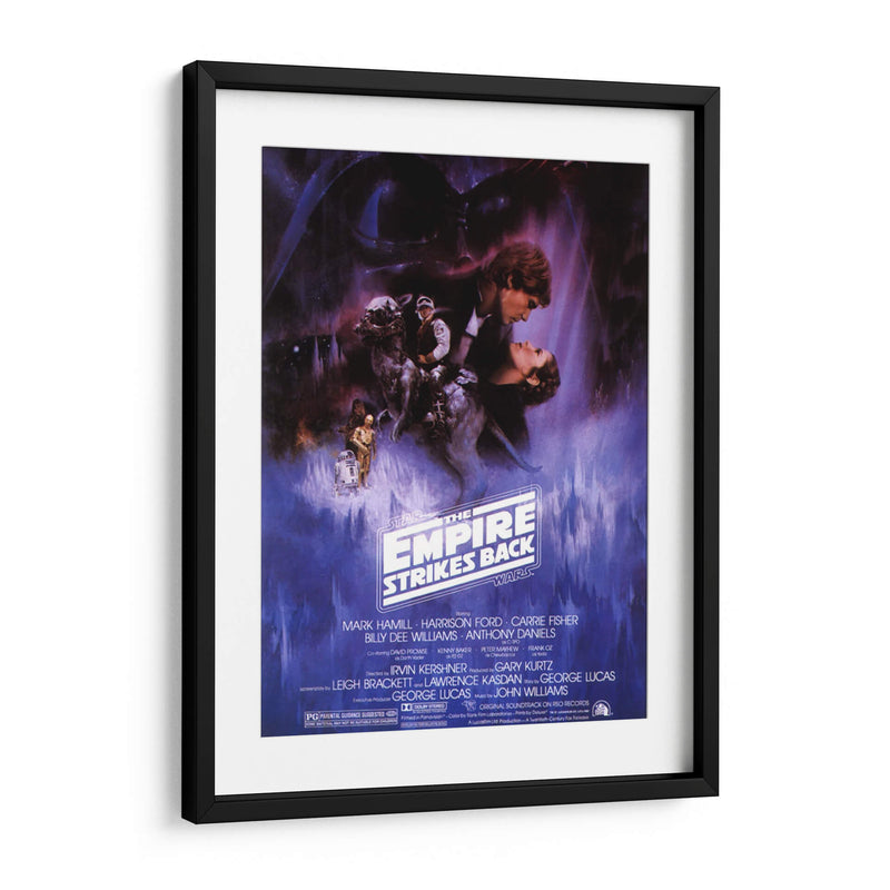 The Empire Strikes Back SW | Cuadro decorativo de Canvas Lab