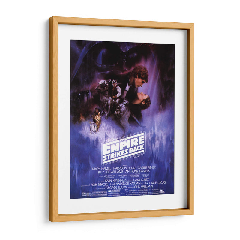 The Empire Strikes Back SW | Cuadro decorativo de Canvas Lab