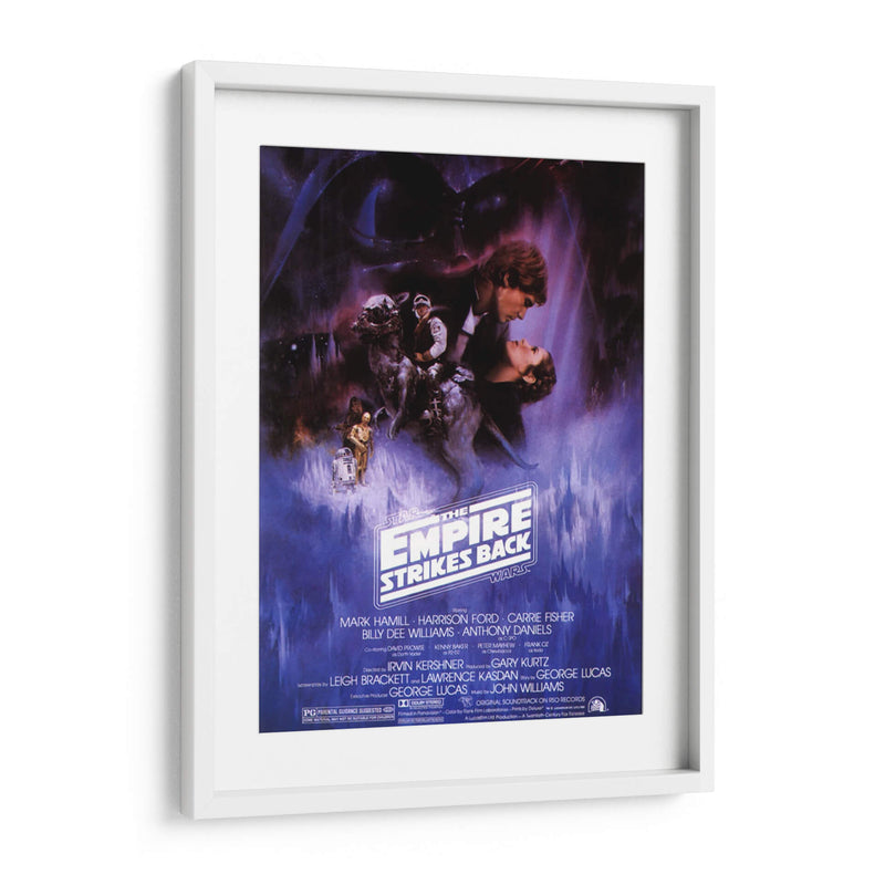 The Empire Strikes Back SW | Cuadro decorativo de Canvas Lab