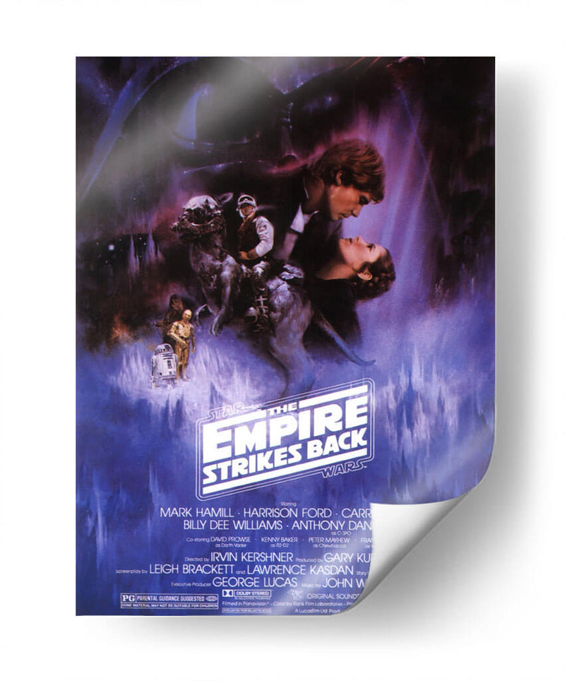 The Empire Strikes Back SW | Cuadro decorativo de Canvas Lab