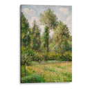 Álamos, Eragny - Camille Pissarro | Cuadro decorativo de Canvas Lab