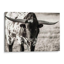 Retrato De Longhorn - Tyler Stockton | Cuadro decorativo de Canvas Lab