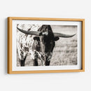 Retrato De Longhorn - Tyler Stockton | Cuadro decorativo de Canvas Lab