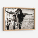 Retrato De Longhorn - Tyler Stockton | Cuadro decorativo de Canvas Lab