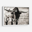 Retrato De Longhorn - Tyler Stockton | Cuadro decorativo de Canvas Lab