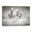 Tres caballos blancos | Cuadro decorativo de Canvas Lab