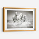Tres caballos blancos | Cuadro decorativo de Canvas Lab