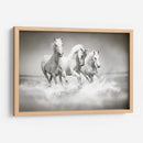 Tres caballos blancos | Cuadro decorativo de Canvas Lab