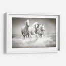 Tres caballos blancos | Cuadro decorativo de Canvas Lab