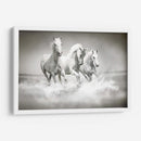 Tres caballos blancos | Cuadro decorativo de Canvas Lab