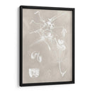 Esquema Botánico I - Vision Studio | Cuadro decorativo de Canvas Lab