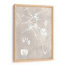 Esquema Botánico I - Vision Studio | Cuadro decorativo de Canvas Lab