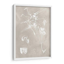 Esquema Botánico I - Vision Studio | Cuadro decorativo de Canvas Lab