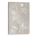 Esquema Botánico Ii - Vision Studio | Cuadro decorativo de Canvas Lab