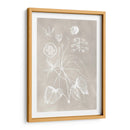 Esquema Botánico Ii - Vision Studio | Cuadro decorativo de Canvas Lab