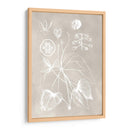 Esquema Botánico Ii - Vision Studio | Cuadro decorativo de Canvas Lab