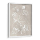 Esquema Botánico Ii - Vision Studio | Cuadro decorativo de Canvas Lab