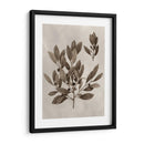 Espécimen De Cenador Iv - Vision Studio | Cuadro decorativo de Canvas Lab