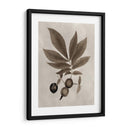 Espécimen De Cenador Vi - Vision Studio | Cuadro decorativo de Canvas Lab