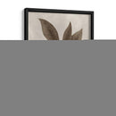 Espécimen De Cenador Vi - Vision Studio | Cuadro decorativo de Canvas Lab