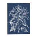 Follaje Chintz Iii - Vision Studio | Cuadro decorativo de Canvas Lab