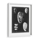 Alabaster Shells Vi - Vision Studio | Cuadro decorativo de Canvas Lab