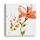 Pantalla Tropical Iii - Jennifer Goldberger | Cuadro decorativo de Canvas Lab