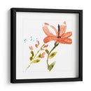 Pantalla Tropical Iii - Jennifer Goldberger | Cuadro decorativo de Canvas Lab
