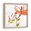 Pantalla Tropical Iii - Jennifer Goldberger | Cuadro decorativo de Canvas Lab