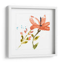 Pantalla Tropical Iii - Jennifer Goldberger | Cuadro decorativo de Canvas Lab