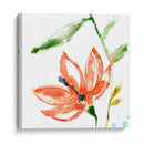 Pantalla Tropical Iv - Jennifer Goldberger | Cuadro decorativo de Canvas Lab