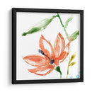 Pantalla Tropical Iv - Jennifer Goldberger | Cuadro decorativo de Canvas Lab