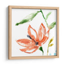 Pantalla Tropical Iv - Jennifer Goldberger | Cuadro decorativo de Canvas Lab