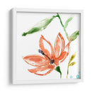 Pantalla Tropical Iv - Jennifer Goldberger | Cuadro decorativo de Canvas Lab