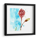 Pantalla Tropical Vi - Jennifer Goldberger | Cuadro decorativo de Canvas Lab