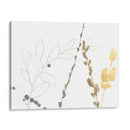 Contornos De Rama Ii - Jennifer Goldberger | Cuadro decorativo de Canvas Lab