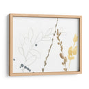 Contornos De Rama Ii - Jennifer Goldberger | Cuadro decorativo de Canvas Lab