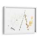 Contornos De Rama Ii - Jennifer Goldberger | Cuadro decorativo de Canvas Lab