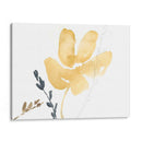 Contornos De Rama Iii - Jennifer Goldberger | Cuadro decorativo de Canvas Lab