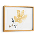 Contornos De Rama Iii - Jennifer Goldberger | Cuadro decorativo de Canvas Lab